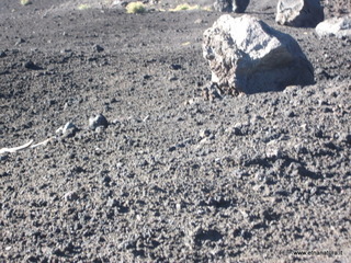 nte Pizzillo-21-10-2012 09-04-56